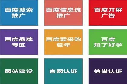 SEO与SEM案例分析：提升网站排名策略